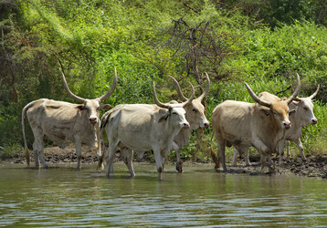 Similar image 21705410