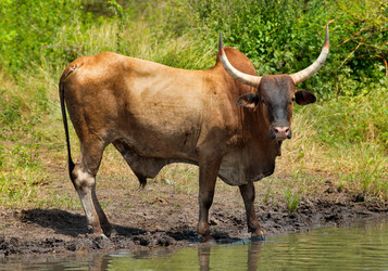 Similar image 21705411