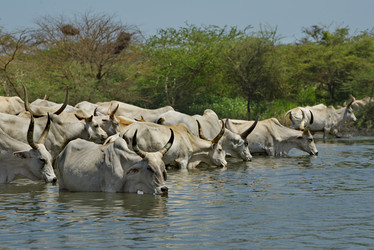 Similar image 21705413