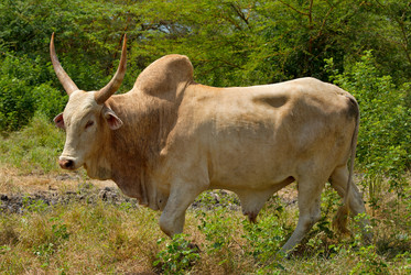 Similar image 21705416