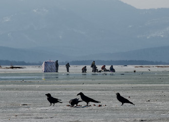 Similar image 21707720