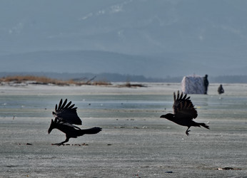 Similar image 21707721