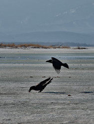 Similar image 21707722