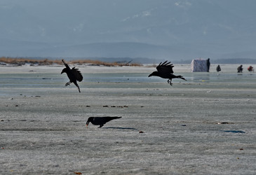 Similar image 21707723