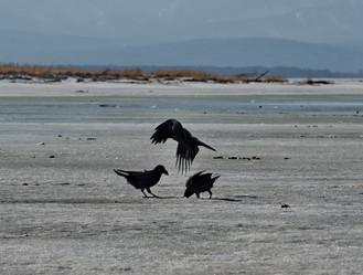 Similar image 21707724