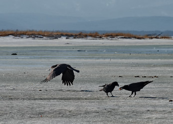 Similar image 21707725