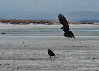 Similar image 21707726