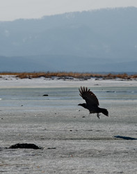 Similar image 21707727