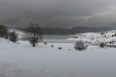 Similar image 21705417