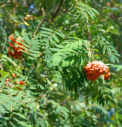 Similar image 21703389