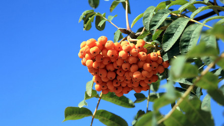 Similar image 21703394