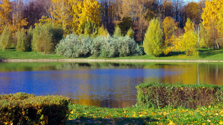 Similar image 21703396