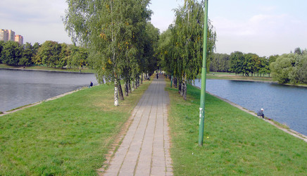 Similar image 21703404