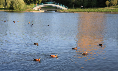 Similar image 21703405