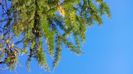 Similar image 21703407