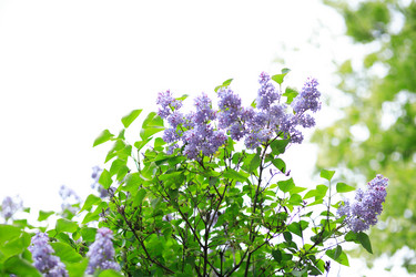 Similar image 21703408