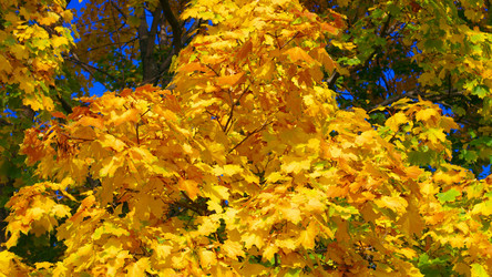 Similar image 21703409