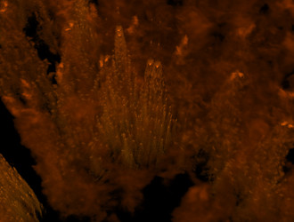 Similar image 21705947