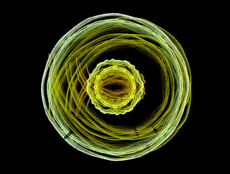 Similar image 21706105