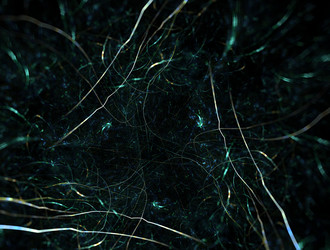 Similar image 21706111