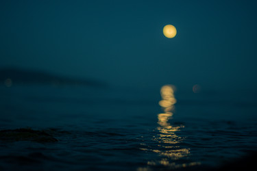 Similar image 21703589