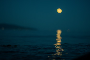 Similar image 21703620