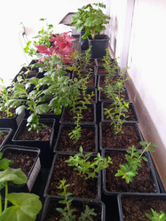 Similar image 21703215