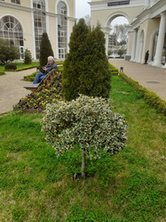 Similar image 21703216