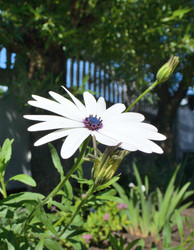 Similar image 21703229