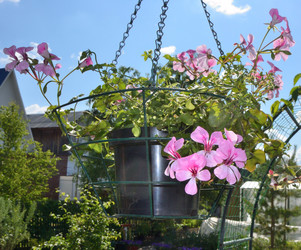 Similar image 21703230