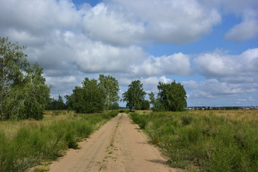 Similar image 21703233