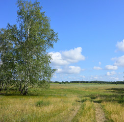 Similar image 21703235