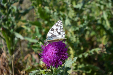 Similar image 21703236