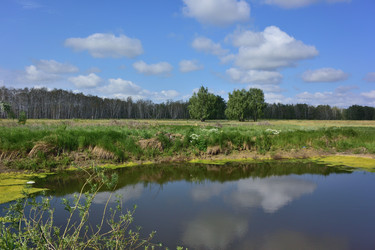 Similar image 21703238