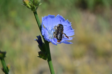 Similar image 21703242