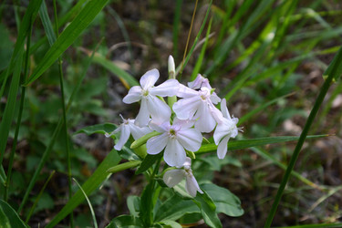 Similar image 21703243