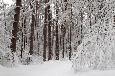 Similar image 21703269