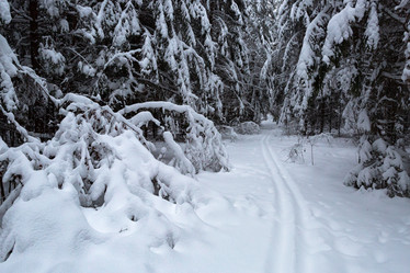 Similar image 21703271