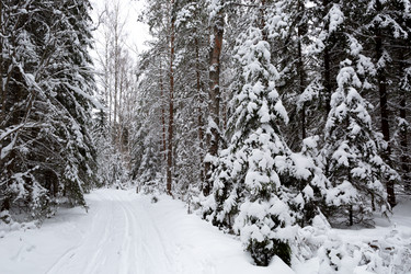 Similar image 21703272