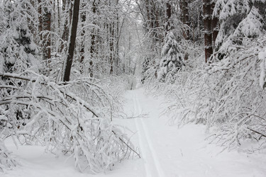 Similar image 21703273