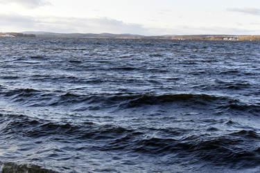 Similar image 21703286