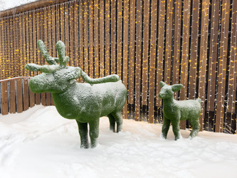 Similar image 21709632