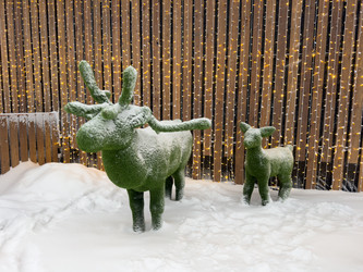 Similar image 21709633