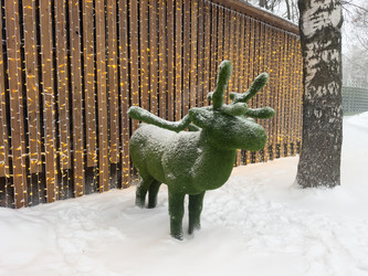 Similar image 21709634