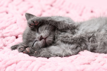 Similar image 21704153