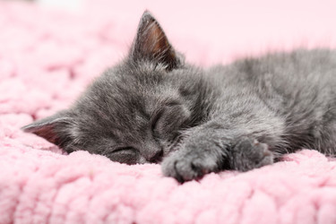 Similar image 21705745