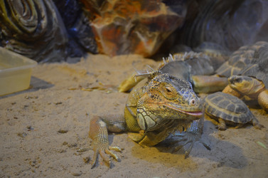 Similar image 21704597