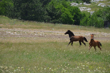 Similar image 21704442