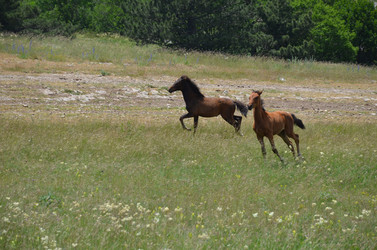 Similar image 21704443