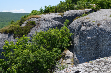 Similar image 21703413